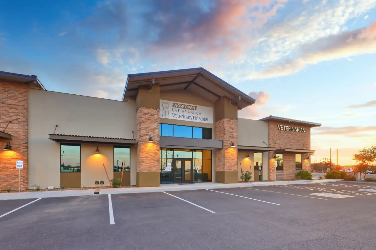 San Tan Valley Az Pet Veterinary Care animal hospital